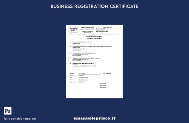 stile verificato Articoli dell'organizzazione USA Wyoming Modello Word e PDF